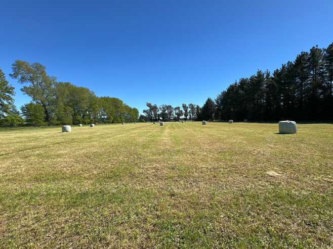 732 Rangiora Leithfield Road, Leithfield