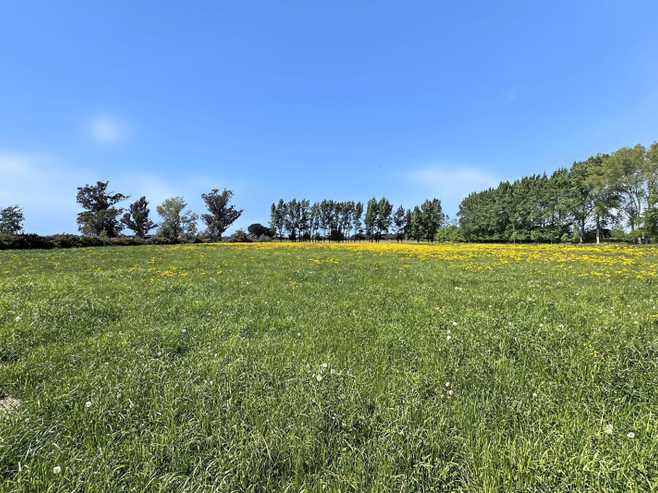 732 Rangiora Leithfield Road, Leithfield