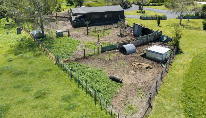 768 Wardville Road, Te Aroha