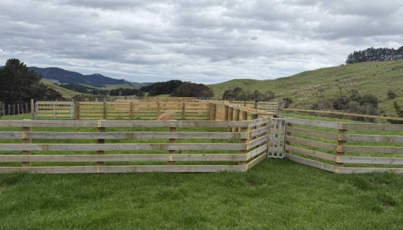 2256 Weber Road, Dannevirke