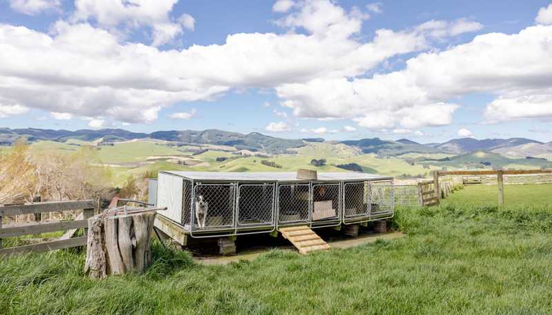 2256 Weber Road, Dannevirke