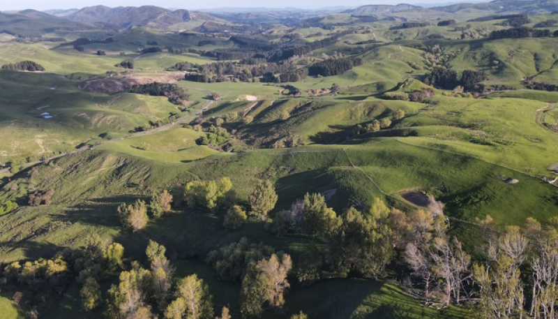 2256 Weber Road, Dannevirke