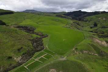 2256 Weber Road, Dannevirke