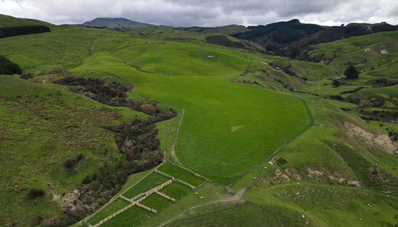 2256 Weber Road, Dannevirke