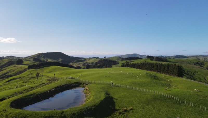 2256 Weber Road, Dannevirke
