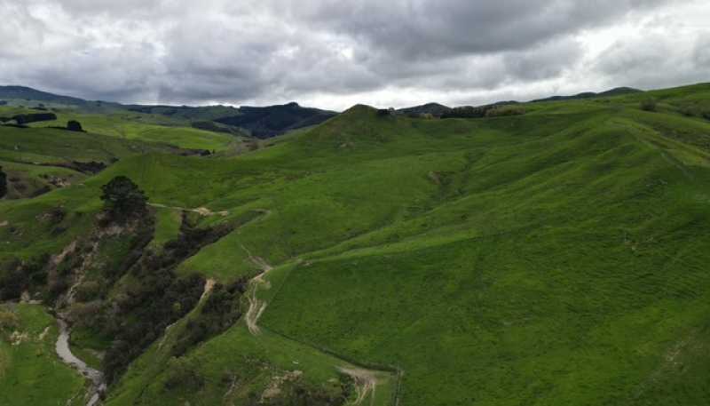 2256 Weber Road, Dannevirke