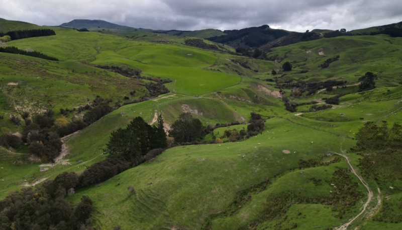 2256 Weber Road, Dannevirke