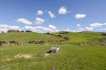 2256 Weber Road, Dannevirke