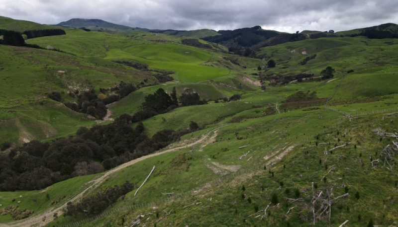2256 Weber Road, Dannevirke