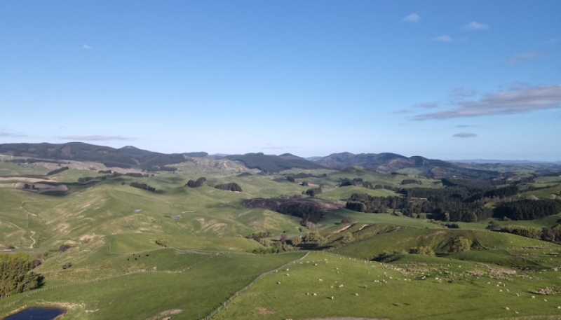 2256 Weber Road, Dannevirke