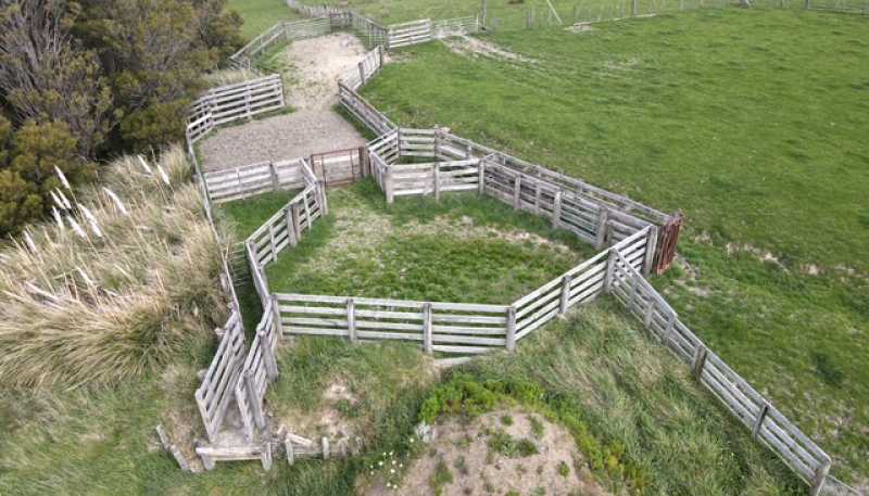 2256 Weber Road, Dannevirke