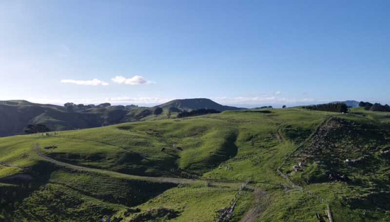 2256 Weber Road, Dannevirke
