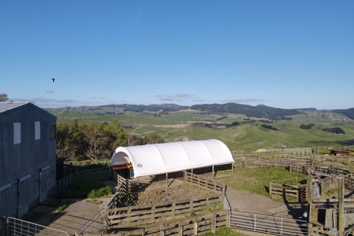 2256 Weber Road, Dannevirke