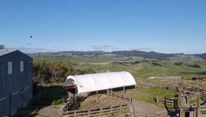 2256 Weber Road, Dannevirke