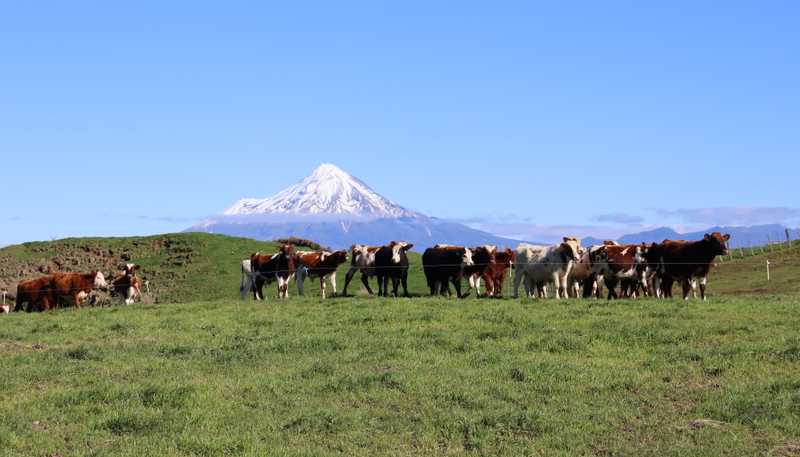 892 Tarata Road, Kaimata