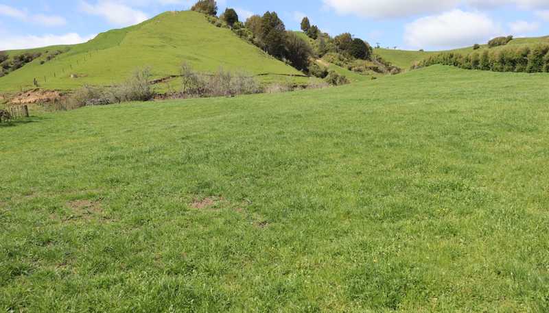 892 Tarata Road, Kaimata