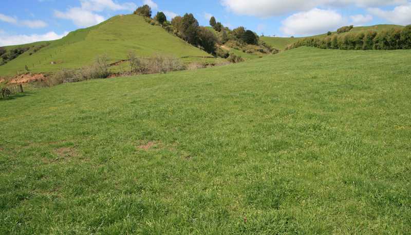 892 Tarata Road, Kaimata