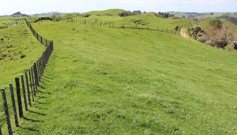 892 Tarata Road, Kaimata