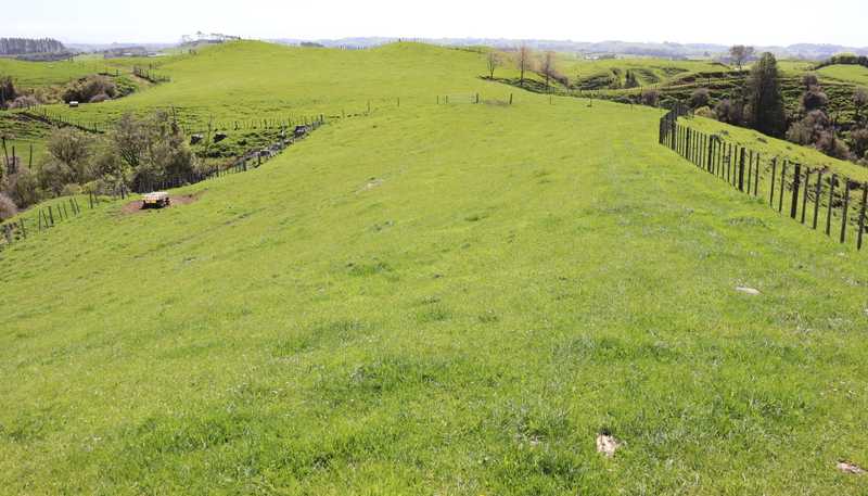 892 Tarata Road, Kaimata