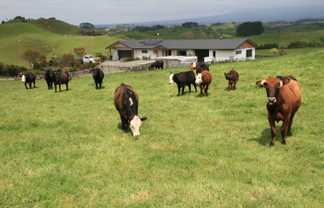 892 Tarata Road, Kaimata