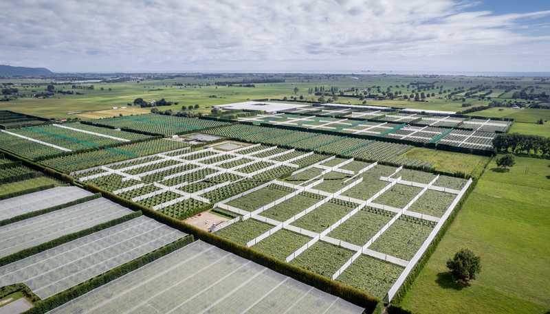 187 Western Drain Road, Edgecumbe