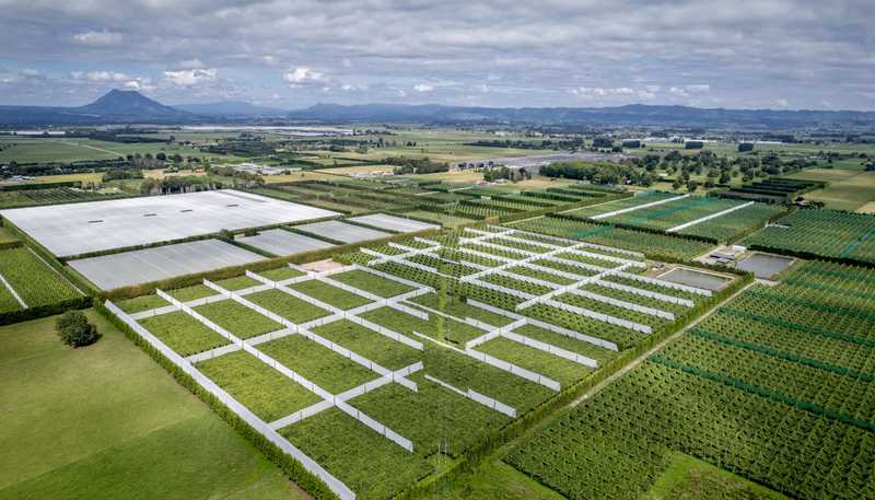 187 Western Drain Road, Edgecumbe