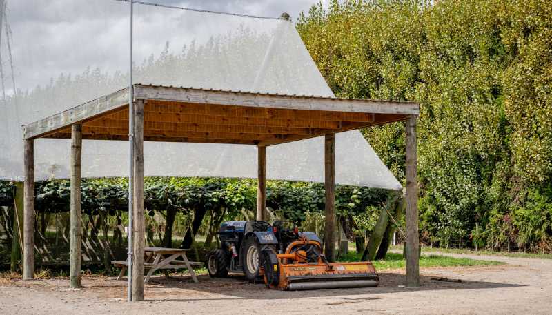 187 Western Drain Road, Edgecumbe