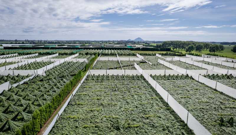 187 Western Drain Road, Edgecumbe