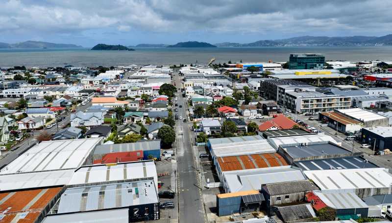 59 Fitzherbert Street, Petone