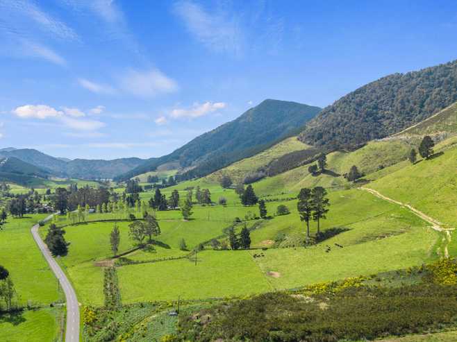 650 Ronga Road, Rai Valley