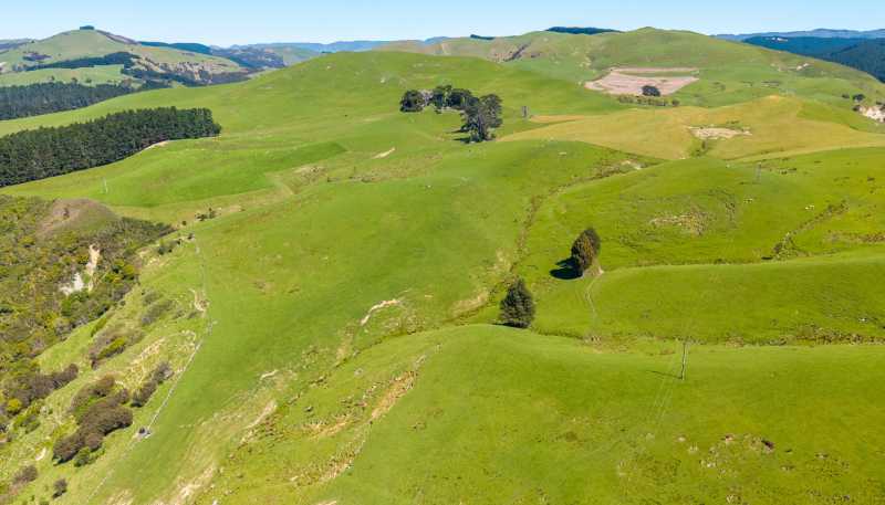 8766 Route 52, Dannevirke