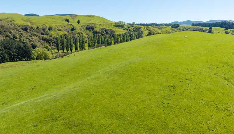 8766 Route 52, Dannevirke