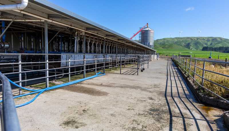 829 Ballance Valley Road, Pahiatua