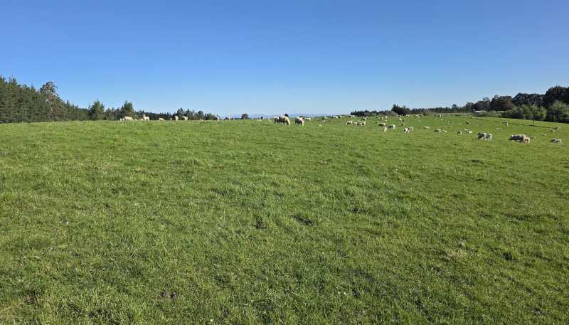 351 Loburn Kowai Road, Loburn
