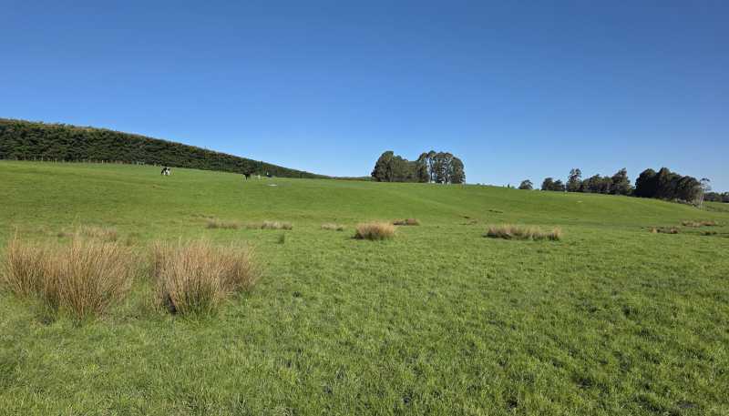 351 Loburn Kowai Road, Loburn