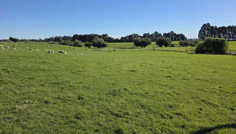 351 Loburn Kowai Road, Loburn