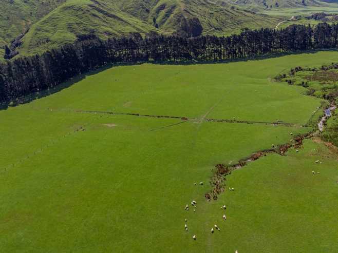 1614 Hinemoa Valley Road, Pahiatua