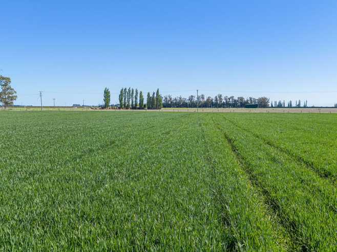 32 Ashton Road, Ashburton