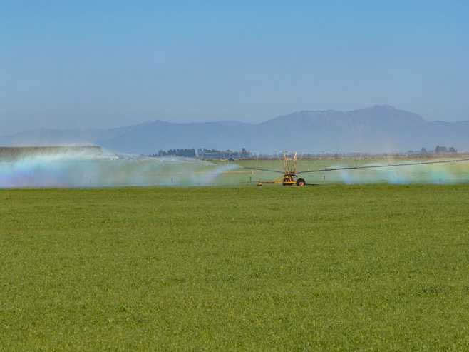 1280 Back Track, Rakaia
