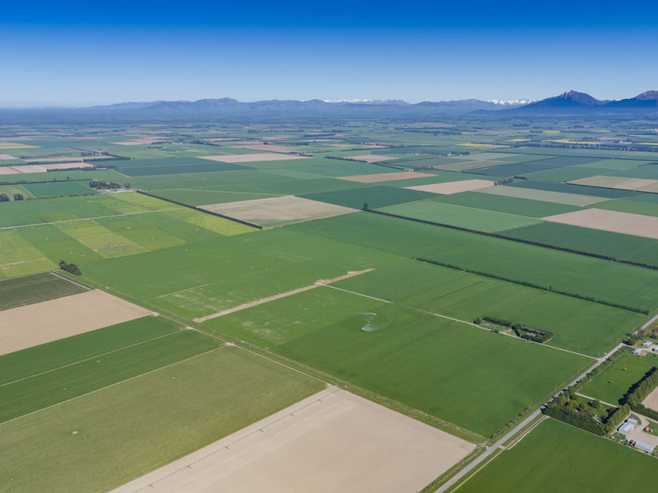 1280 Back Track, Rakaia