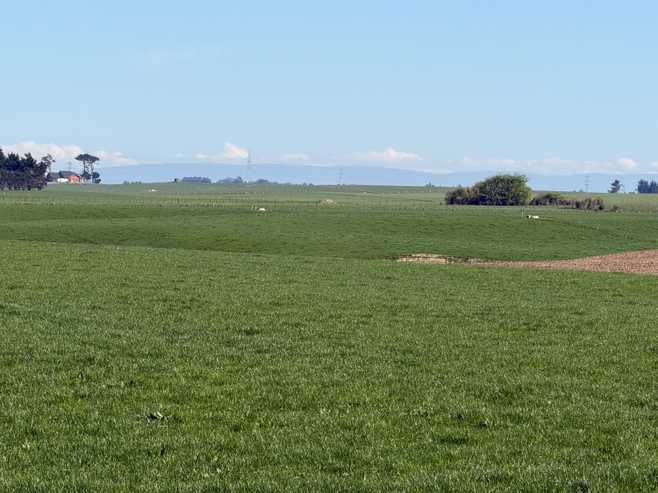 215 Orr Road, Waimatua