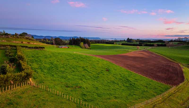 Lot 1, Ross Road, Whakamarama