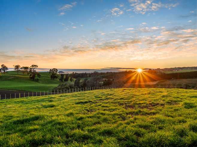 Lot 1, Ross Road, Whakamarama