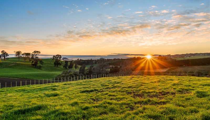 Lot 1, Ross Road, Whakamarama