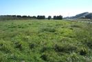 435 Swamp Road, Fernhill, Hastings, Hawkes Bay