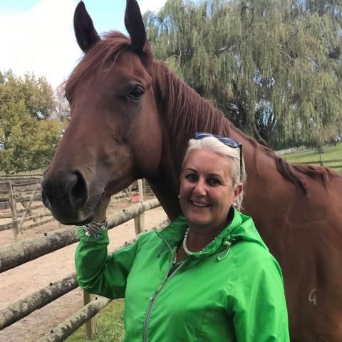 Karaka Lifestyle Properties for Sale realestate.co.nz