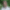 Ryan Pellett