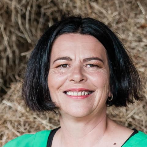 Te Kauwhata Rural Farms and Real Estate for Sale realestate.co.nz