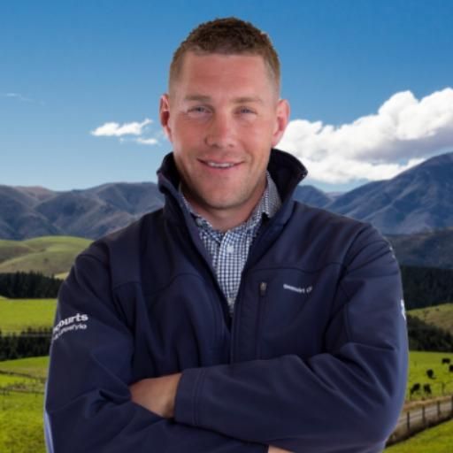 Motueka Homes and Real Estate for Sale realestate.co.nz