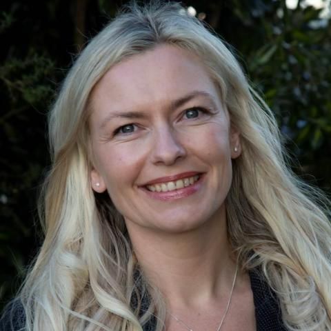 Paremoremo Homes and Real Estate for Sale realestate.co.nz